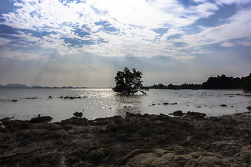 Image showing Koh Mook Coast.