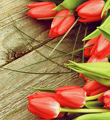 Image showing Spring Tulips