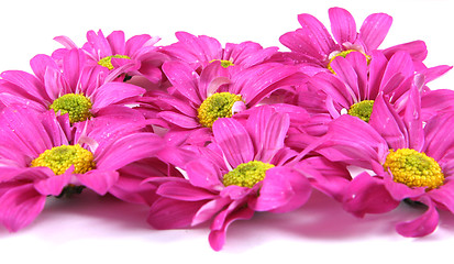 Image showing Flowers.