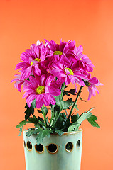 Image showing Flowers for Spring.