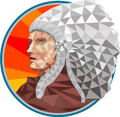 Image showing Native American Indian Chief Warrior Low Polygon