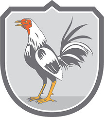 Image showing Cockerel Rooster Standing Shield Retro