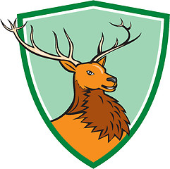 Image showing Red Stag Deer Head Shield Cartoon