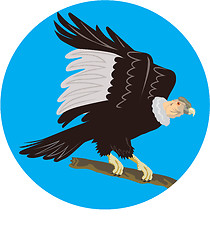 Image showing California Condor Perching Branch Circle Retro