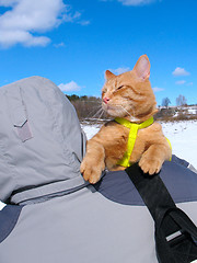 Image showing Happiness (man and cat)