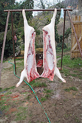 Image showing slaughtered pigs4