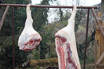 Image showing slaughtered pigs5