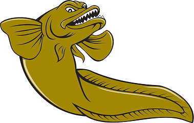 Image showing Eelpout Fish Angry Cartoon 