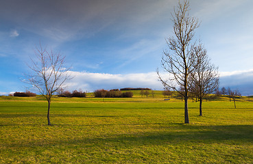 Image showing Spring lansdcape on a hills at sunset