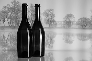 Image showing Two bottles and autumn landscape in the mist