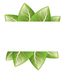 Image showing Vector Frame of green leaves on a white background