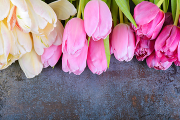 Image showing Fresh pink tulips 