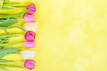 Image showing Row of multicolored tulips for border or frame