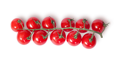 Image showing Cherry tomatoes on the stem top view