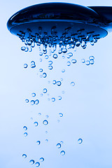 Image showing Shower Head with Running Water