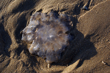 Image showing On the sand