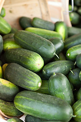 Image showing Fresh Green Cucumbers