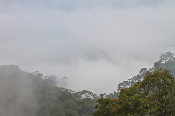 Image showing fog and cloud mountain valley landscape