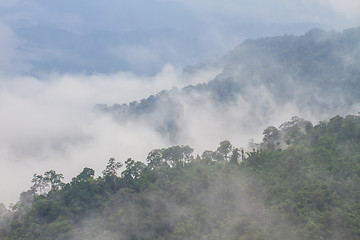 Image showing fog and cloud mountain valley landscape