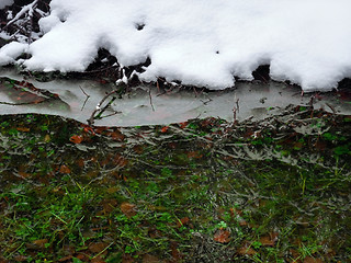 Image showing winter waters edge