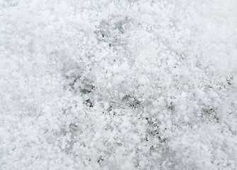 Image showing frosty surface