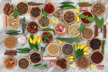 Image showing Chilli Spices and Herbs