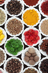 Image showing Spices and Herbs