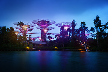 Image showing Gardens by the Bay in Singapore at Dusk