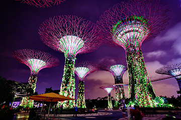 Image showing Colorful Towers of Gardens by the Bay in Singapore at Night