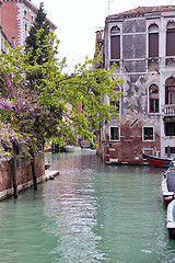 Image showing venice italy