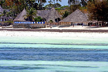 Image showing seaweed beach   in zanzibar  home  and sailing