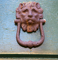 Image showing abstract   brass brown knocker    closed wood door olgiate olona