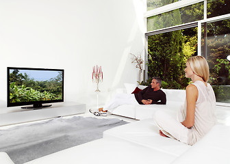 Image showing  Couple Watching TV