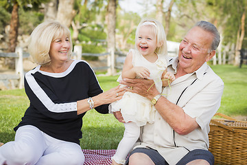 Image showing Affectionate Granddaughter and Grandparents Playing At The Park