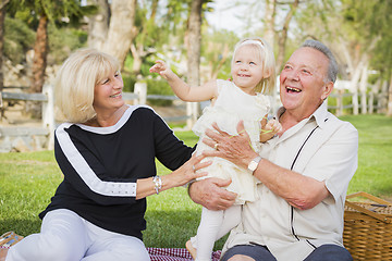 Image showing Affectionate Granddaughter and Grandparents Playing At The Park