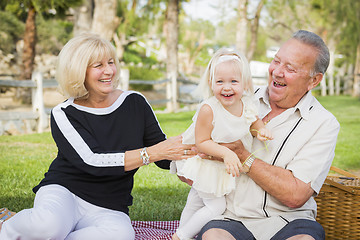 Image showing Affectionate Granddaughter and Grandparents Playing At The Park