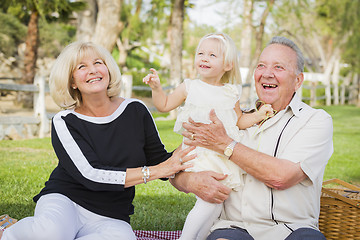 Image showing Affectionate Granddaughter and Grandparents Playing At The Park