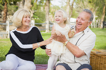 Image showing Affectionate Granddaughter and Grandparents Playing At The Park