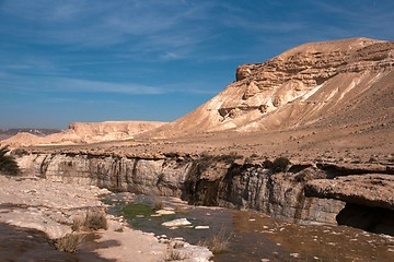 Image showing Water spring in a desert