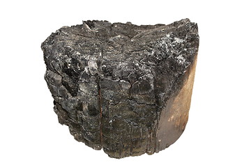 Image showing burned stump isolated on white