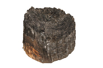 Image showing burned wooden stump