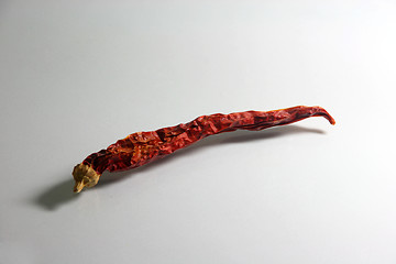 Image showing dry chily peper