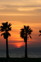 Image showing tropical sun set