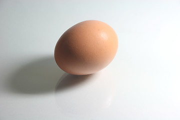 Image showing egg with shadow