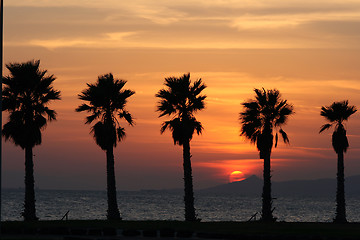 Image showing sun set and palms