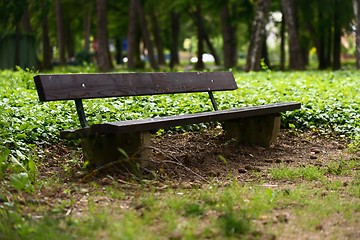 Image showing Stylish bench in autumn park