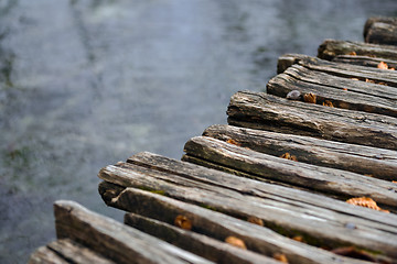 Image showing Closeup photo of wooden floor panels