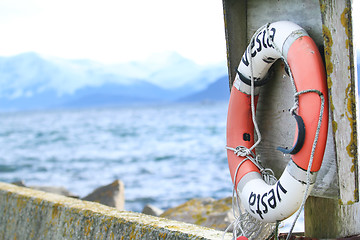 Image showing Lifebuoy