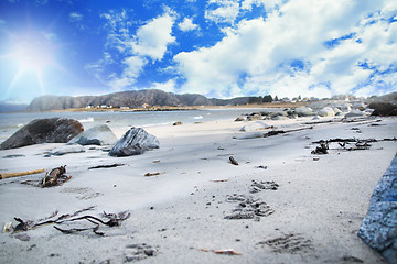 Image showing Norwegian Shore