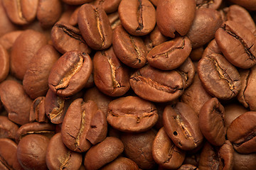 Image showing Coffee beans